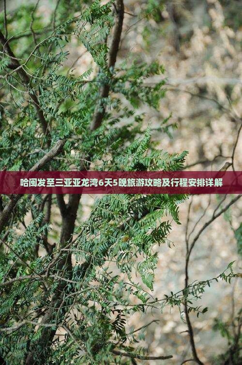 哈闽发至三亚亚龙湾6天5晚旅游攻略及行程安排详解