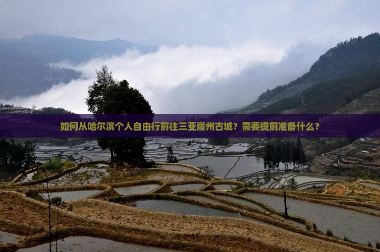 如何从哈尔滨个人自由行前往三亚崖州古城？需要提前准备什么？
