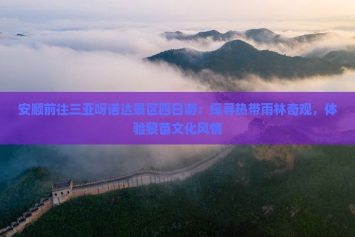 安顺前往三亚呀诺达景区四日游：探寻热带雨林奇观，体验黎苗文化风情