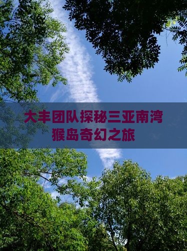大丰团队探秘三亚南湾猴岛奇幻之旅