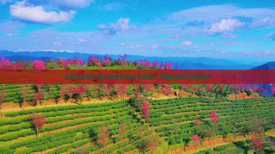 上海出发至三亚海昌梦幻海洋不夜城二日游攻略及行程安排？