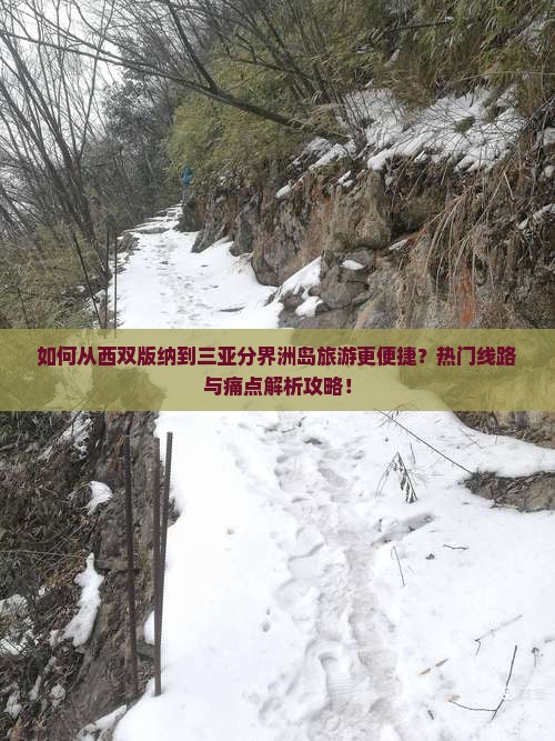 如何从西双版纳到三亚分界洲岛旅游更便捷？热门线路与痛点解析攻略！
