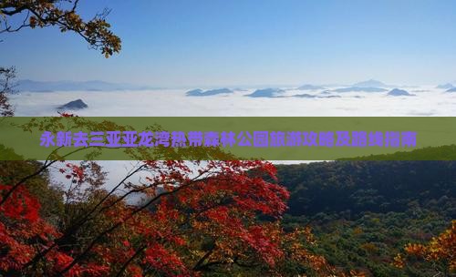 永新去三亚亚龙湾热带森林公园旅游攻略及路线指南
