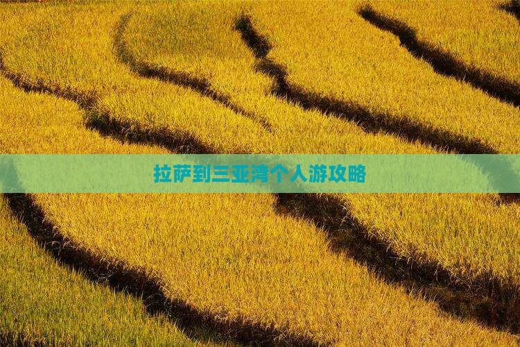拉萨到三亚湾个人游攻略