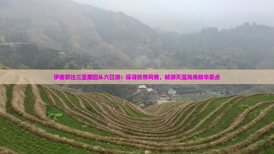 伊春前往三亚鹿回头六日游：探寻热带风情，畅游天涯海角精华景点