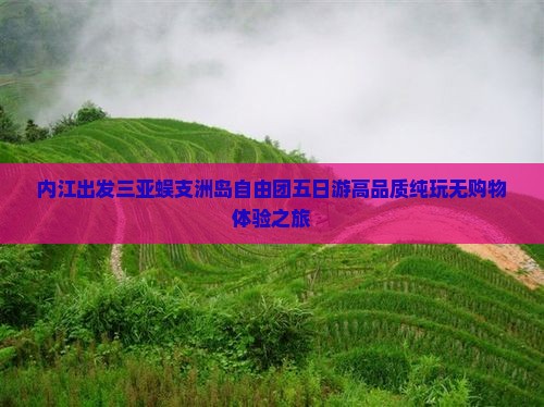 内江出发三亚蜈支洲岛自由团五日游高品质纯玩无购物体验之旅