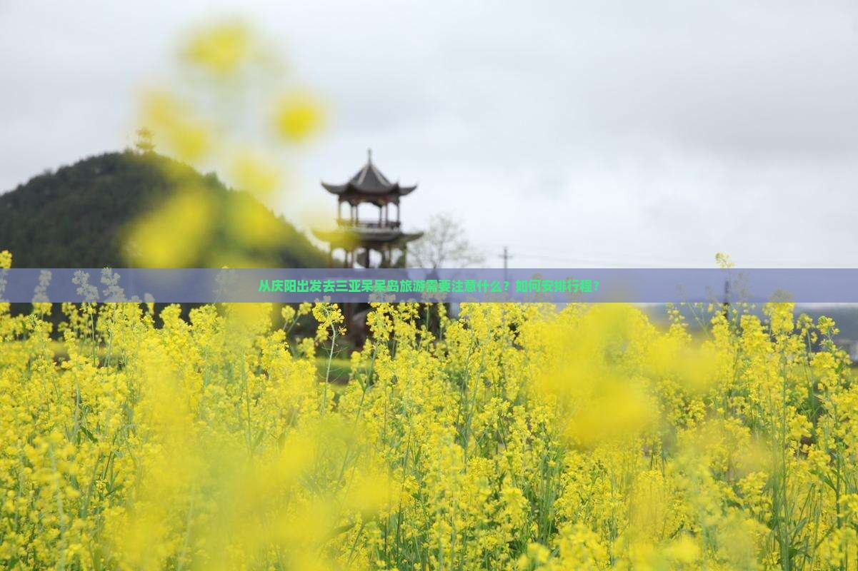 从庆阳出发去三亚呆呆岛旅游需要注意什么？如何安排行程？