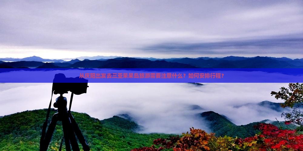 从庆阳出发去三亚呆呆岛旅游需要注意什么？如何安排行程？