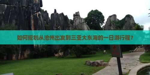 如何规划从沧州出发到三亚大东海的一日游行程？