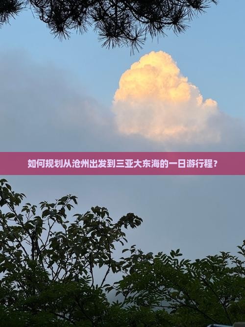 如何规划从沧州出发到三亚大东海的一日游行程？