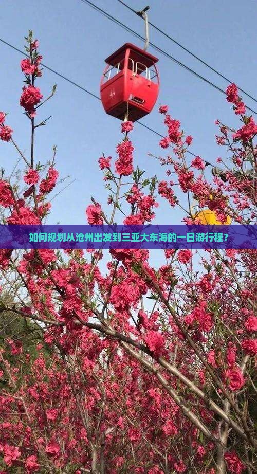如何规划从沧州出发到三亚大东海的一日游行程？