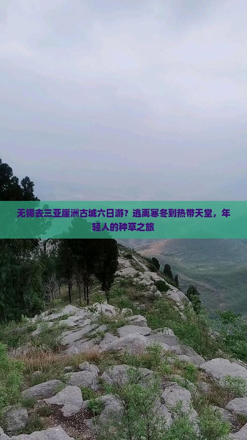 无锡去三亚崖洲古城六日游？逃离寒冬到热带天堂，年轻人的种草之旅