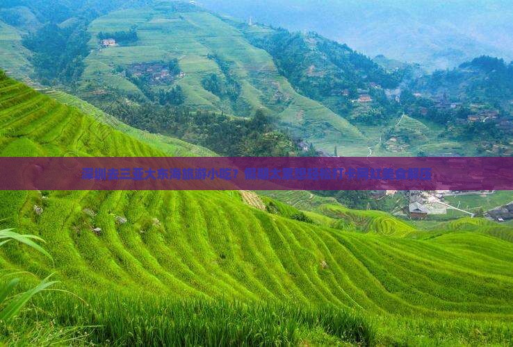 深圳去三亚大东海旅游小吃？假期太累想轻松打卡网红美食解压