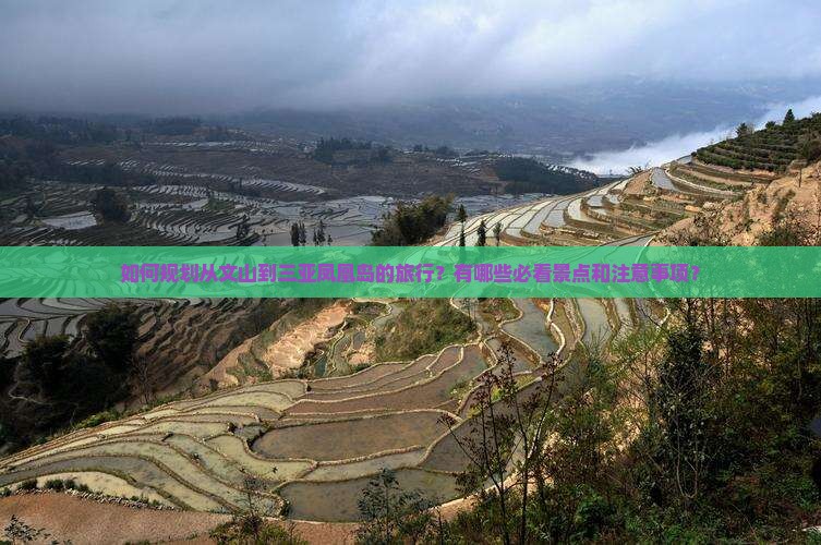 如何规划从文山到三亚凤凰岛的旅行？有哪些必看景点和注意事项？