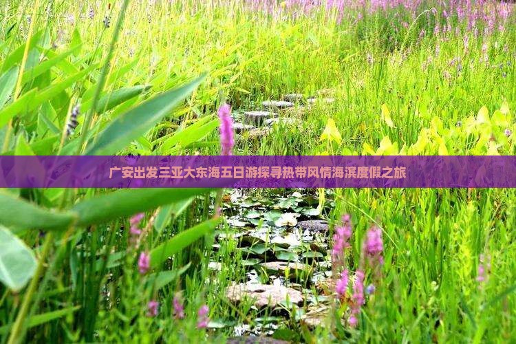 广安出发三亚大东海五日游探寻热带风情海滨度假之旅