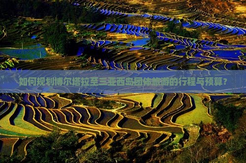 如何规划博尔塔拉至三亚西岛团体旅游的行程与预算？