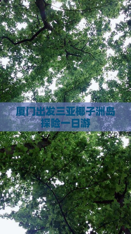 厦门出发三亚椰子洲岛探险一日游