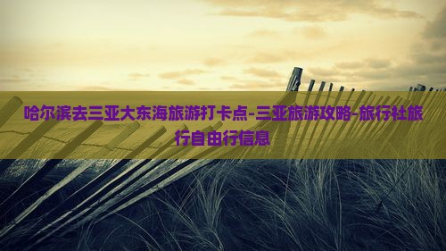 哈尔滨去三亚大东海旅游打卡点-三亚旅游攻略-旅行社旅行自由行信息