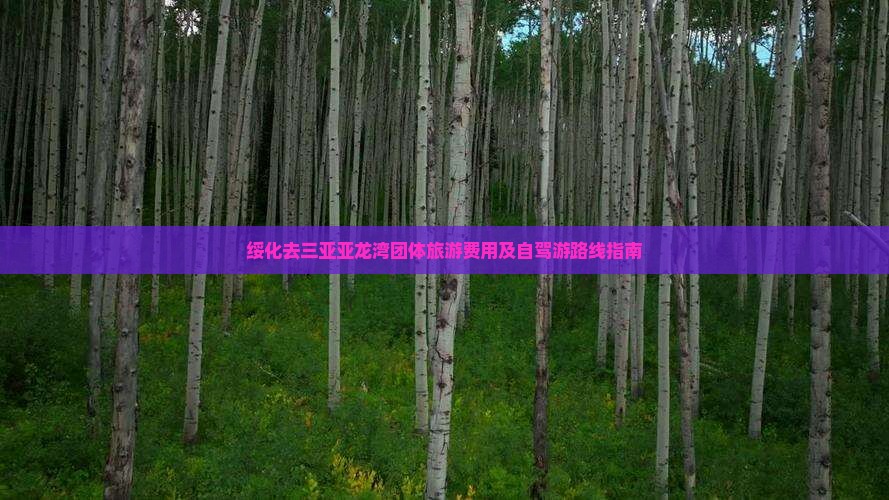 绥化去三亚亚龙湾团体旅游费用及自驾游路线指南