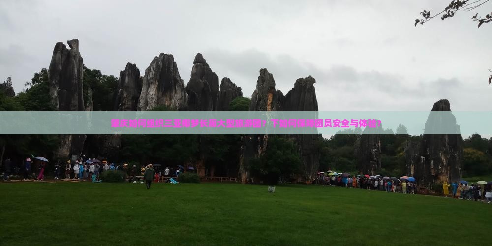 肇庆如何组织三亚椰梦长廊大型旅游团？下如何保障团员安全与体验？