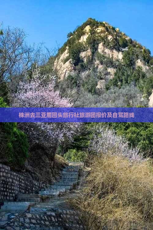 株洲去三亚鹿回头旅行社旅游团报价及自驾路线