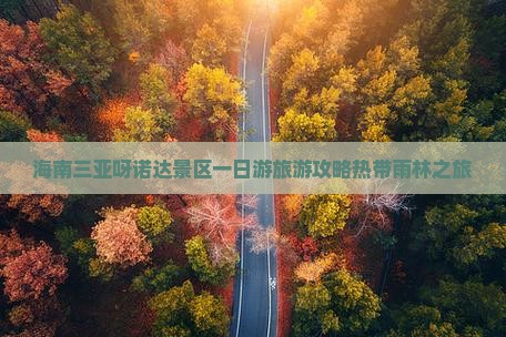海南三亚呀诺达景区一日游旅游攻略热带雨林之旅