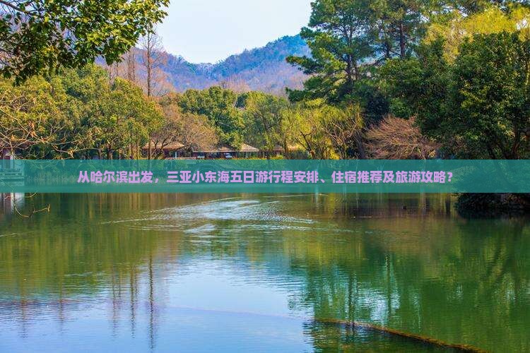 从哈尔滨出发，三亚小东海五日游行程安排、住宿推荐及旅游攻略？