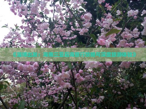 《淄博出发：海南三亚后海旅行攻略与深度旅游体验》