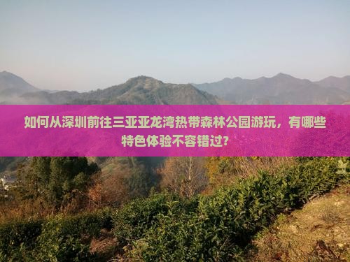 如何从深圳前往三亚亚龙湾热带森林公园游玩，有哪些特色体验不容错过？