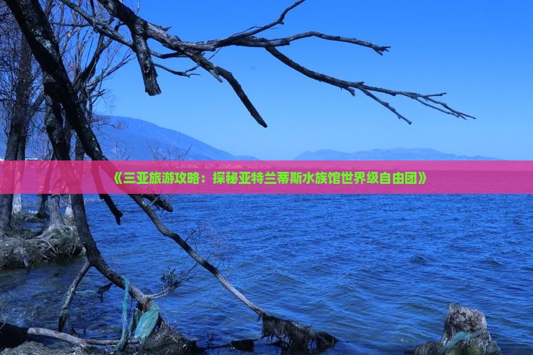 《三亚旅游攻略：探秘亚特兰蒂斯水族馆世界级自由团》