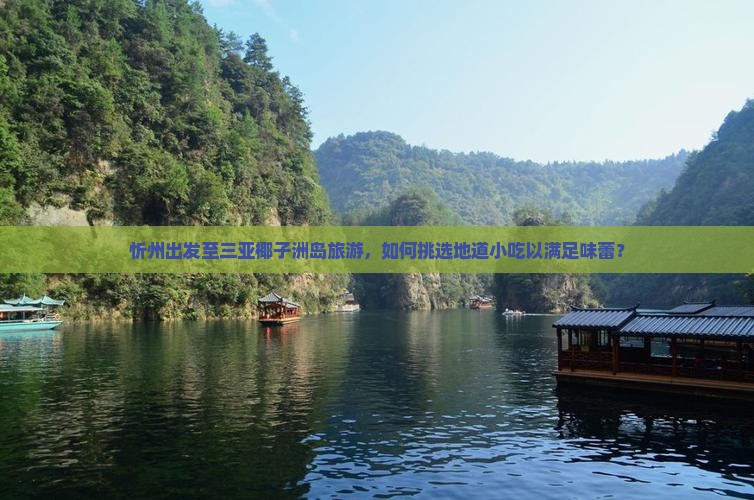 忻州出发至三亚椰子洲岛旅游，如何挑选地道小吃以满足味蕾？