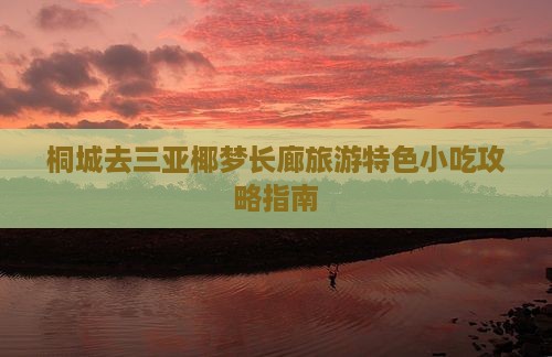 桐城去三亚椰梦长廊旅游特色小吃攻略指南