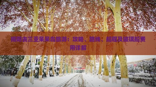 揭阳去三亚呆呆岛旅游：攻略、路线、船程及玻璃船费用详解