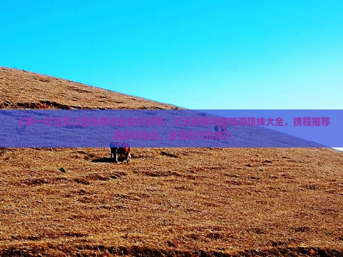 《第一次北京三亚海棠湾自由行攻略：三天两夜海南旅游路线大全，携程推荐酒店与景点，自驾出行指南》