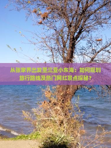 从张家界出发至三亚小东海：如何规划旅行路线及热门网红景点探秘？