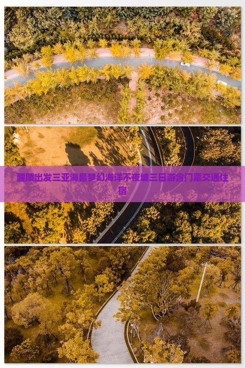 醴陵出发三亚海昌梦幻海洋不夜城三日游含门票交通住宿