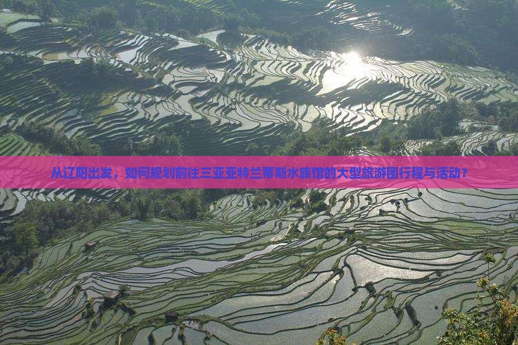从辽阳出发，如何规划前往三亚亚特兰蒂斯水族馆的大型旅游团行程与活动？