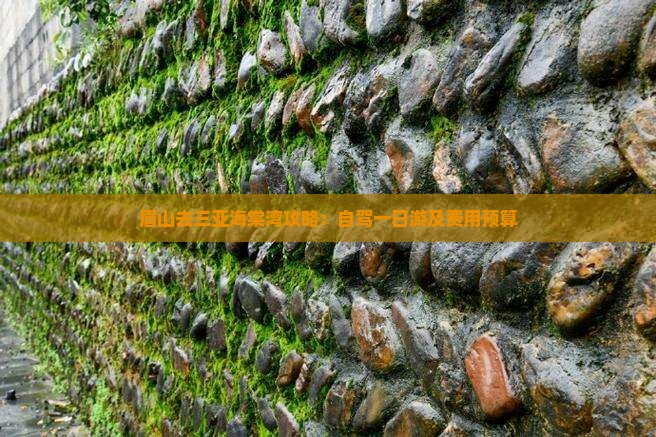眉山去三亚海棠湾攻略:自驾一日游及费用预算 眉山去三亚海棠湾攻略:自驾一日游及费用预算