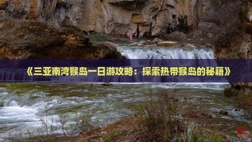 《三亚南湾猴岛一日游攻略：探索热带猴岛的秘籍》