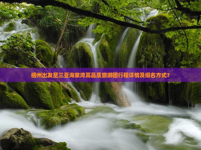 梧州出发至三亚海棠湾高品质旅游团行程详情及报名方式？