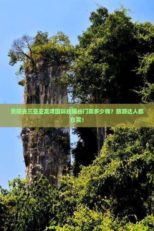贵阳去三亚亚龙湾国际玫瑰谷门票多少钱？旅游达人都在买！