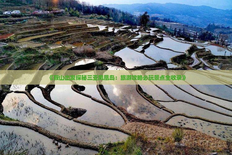 《鞍山出发探秘三亚凤凰岛：旅游攻略必玩景点全收录》