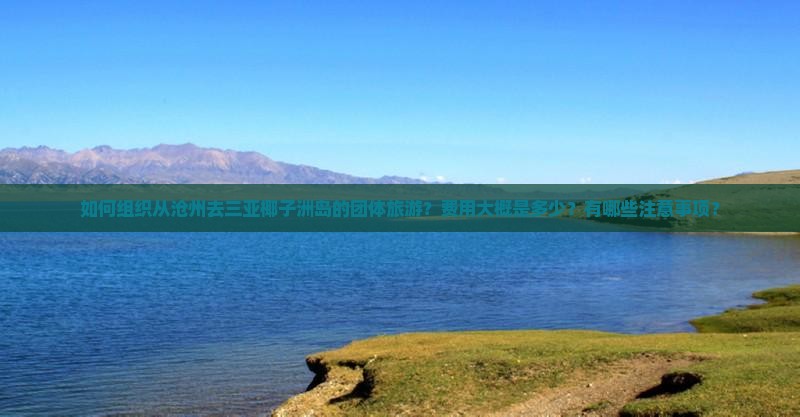 如何组织从沧州去三亚椰子洲岛的团体旅游？费用大概是多少？有哪些注意事项？