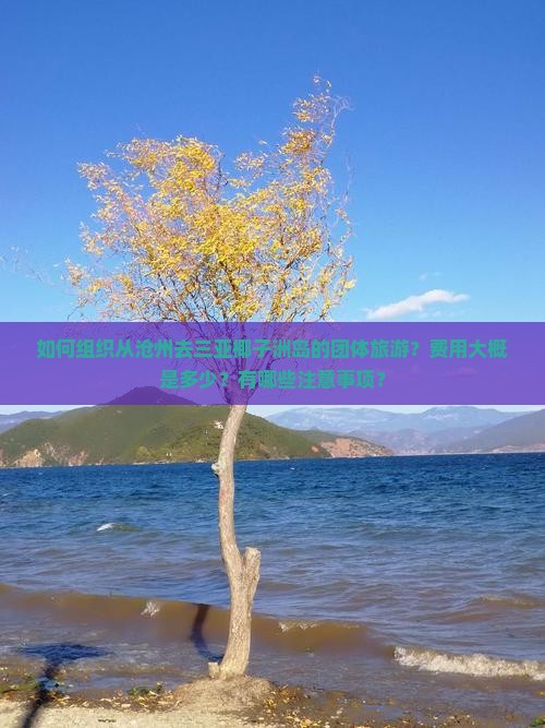 如何组织从沧州去三亚椰子洲岛的团体旅游？费用大概是多少？有哪些注意事项？
