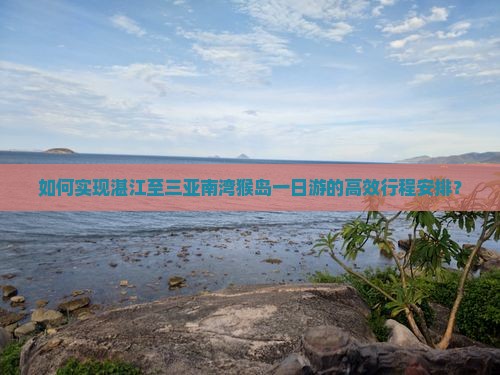 如何实现湛江至三亚南湾猴岛一日游的高效行程安排？