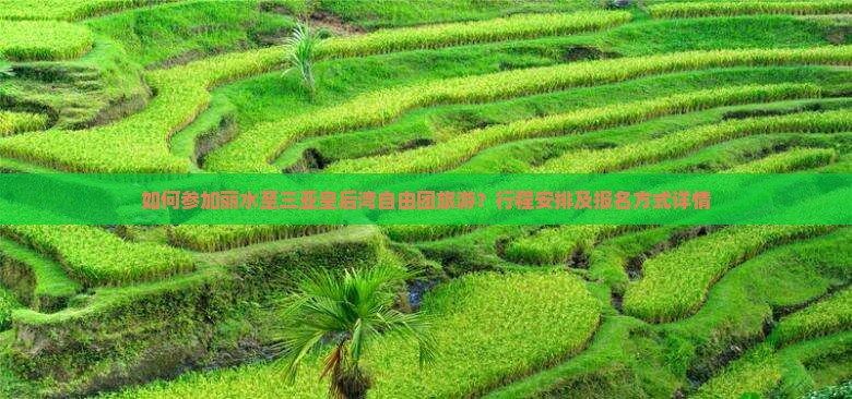 如何参加丽水至三亚皇后湾自由团旅游？行程安排及报名方式详情