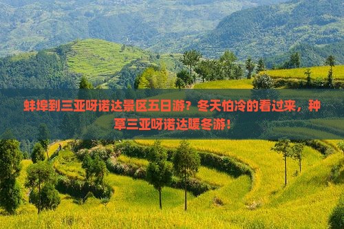 蚌埠到三亚呀诺达景区五日游？冬天怕冷的看过来，种草三亚呀诺达暖冬游！