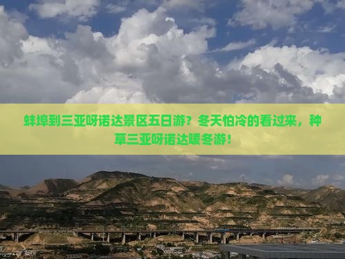 蚌埠到三亚呀诺达景区五日游？冬天怕冷的看过来，种草三亚呀诺达暖冬游！