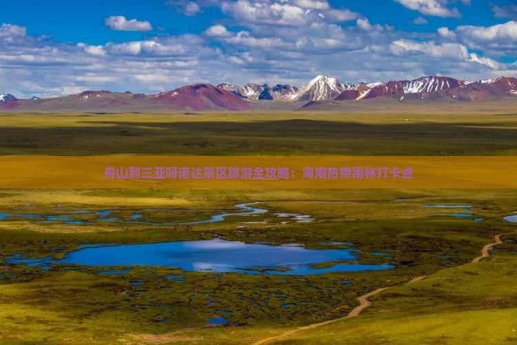 舟山到三亚呀诺达景区旅游全攻略：海南热带雨林打卡点
