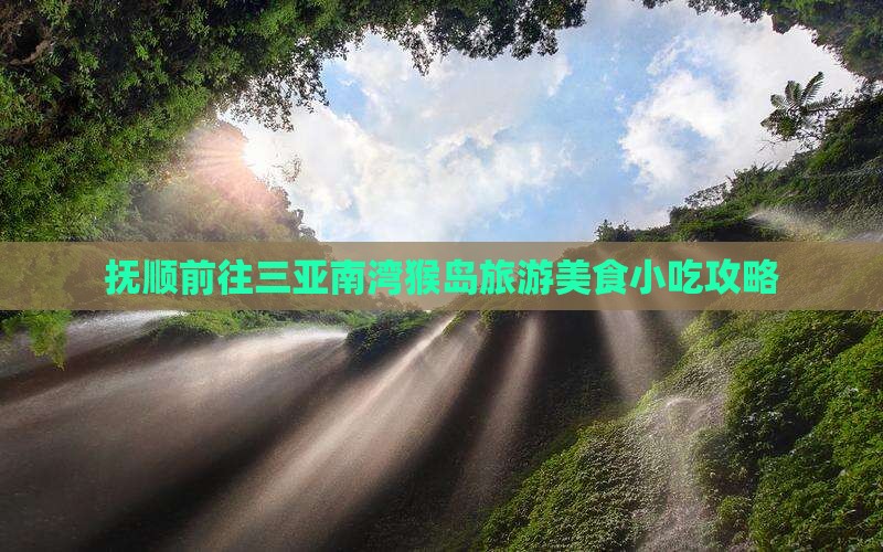 抚顺前往三亚南湾猴岛旅游美食小吃攻略